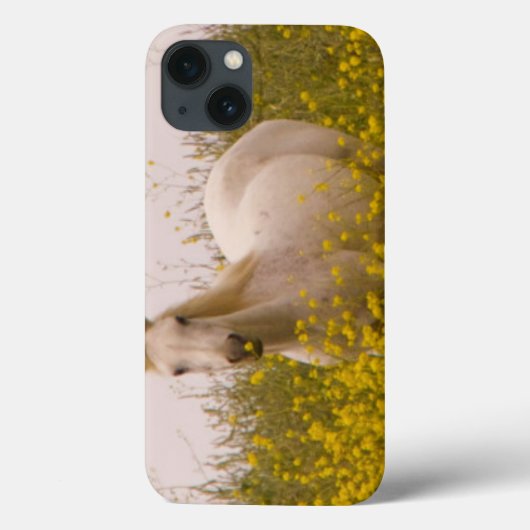 lente Case-Mate iPhone case (Achterkant)