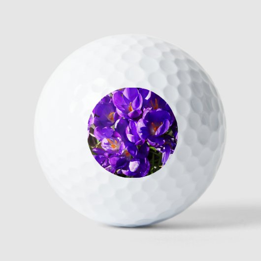 LENTE CROCUS GOLFBALLEN (Voorkant)