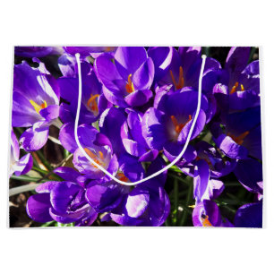 LENTE CROCUS GROOT CADEAUZAKJE