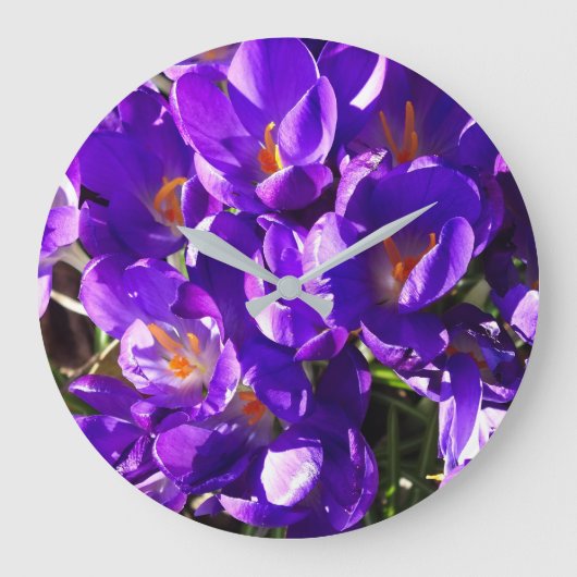 LENTE CROCUS GROTE KLOK (Voorkant)