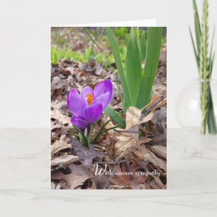Lente Crocus in Leaves Sympathiekaart Kaart