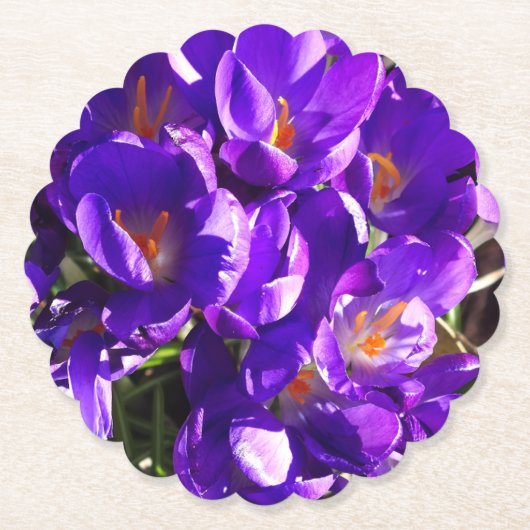 LENTE CROCUS KARTONNEN ONDERZETTERS (Voorkant)