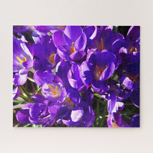 LENTE CROCUS LEGPUZZEL (Horizontaal)