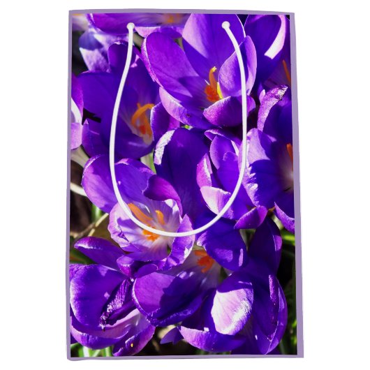 LENTE CROCUS MEDIUM CADEAUZAKJE (Voorkant)