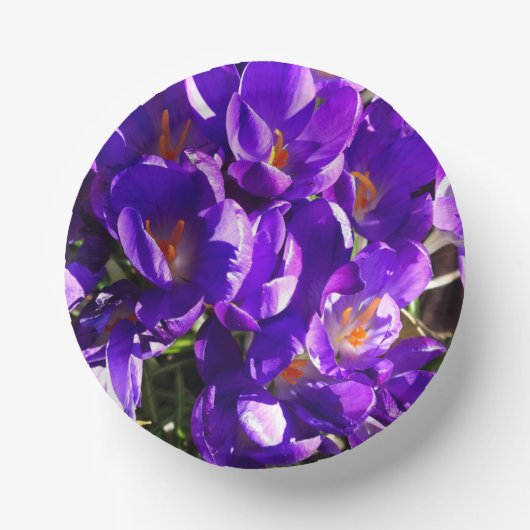 LENTE CROCUS PAPIEREN KOMMEN (Voorkant)