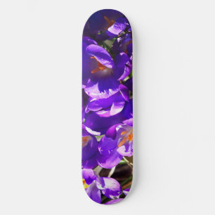 LENTE CROCUS SKATEBOARD