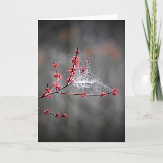 Lente draden, kaart (Voorkant)