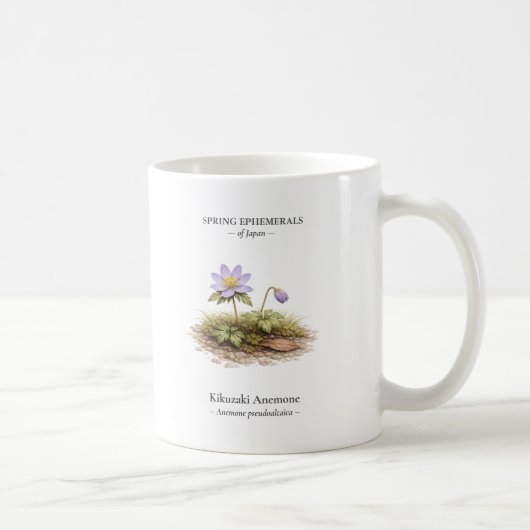 Lente-eenjarigen van Japan – Kikuzaki Anemone Koffiemok (Rechts)