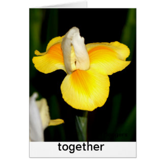 Lente geel