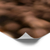 Lente Gele Tulp Macro Poster (Hoek)