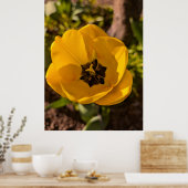 Lente Gele Tulp Macro Poster (Keuken)