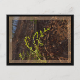 lente groen briefkaart