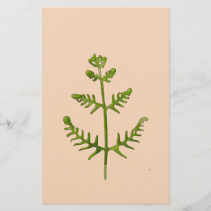 lente groen  briefpapier
