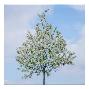 Lente - Happy Easter Perfect Poster