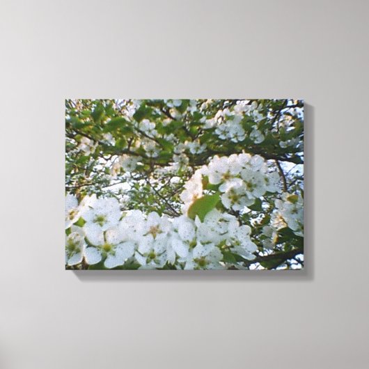 Lente in bloom Stretched Canvas Print (Voorkant)