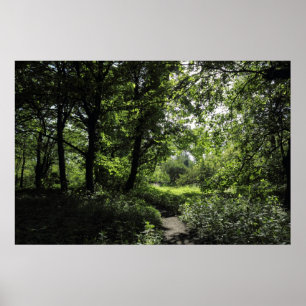Lente in de Bossen 03 Poster