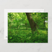 Lente in de Bossen Briefkaart (Voorkant / Achterkant)