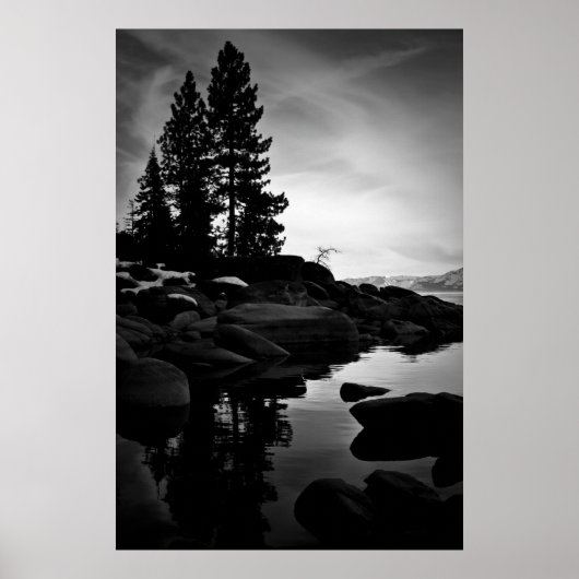 Lente in de Sierra Nevada Poster (Voorkant)