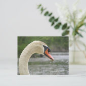 Lente in Framingham 2 Briefkaart (Staand voorkant)