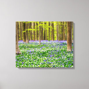 Lente in het blauw bos canvas afdruk