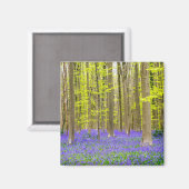 Lente in het blauw bos magneet (Voorkant / Achterkant)