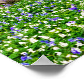 Lente in het blauw bos poster (Hoek)