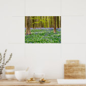 Lente in het blauw bos poster (Keuken)