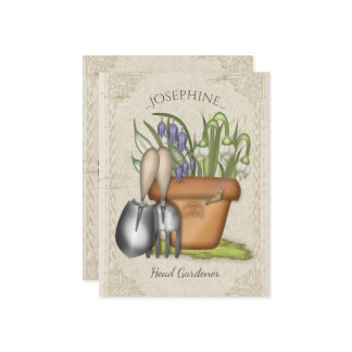 Lente in het Briefkaart van de tuin