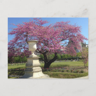 Lente in het Briefkaart van Parijs