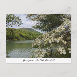 Lente in het Catskills Briefkaart