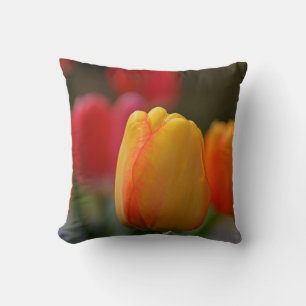 Lente in kleuren Sierkussen