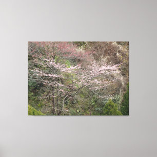Lente in Kyoto, Japan op een Canvas Afdruk