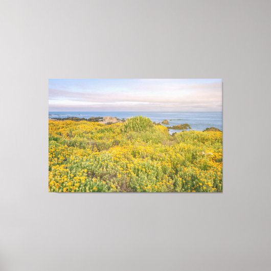 Lente in Monterey Canvas Afdruk (Voorkant)