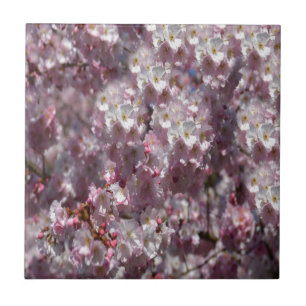 Lente in roze tegeltje