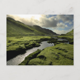 Lente in Schotse Hooglanden Briefkaart