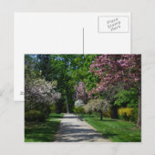 lente in Wenen Briefkaart (Voorkant / Achterkant)