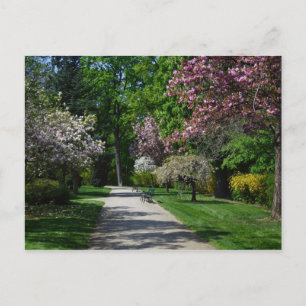 lente in Wenen Briefkaart