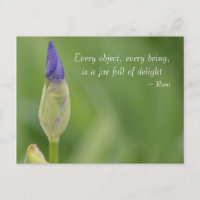 lente-iris