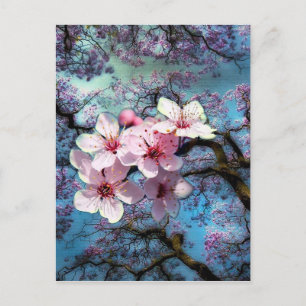 Lente is gearriveerd Bloemen Briefkaart