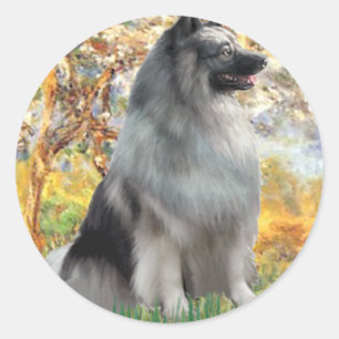 Lente - Keeshond Ronde Sticker