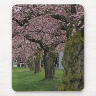 Lente kersenbloesembomen muismat
