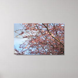 Lente kersenboom bloeien canvas afdruk