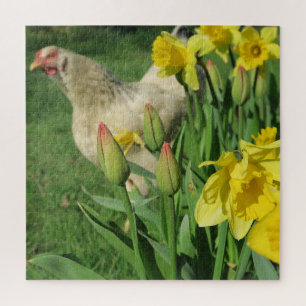 lente,kip, dier, kuiken, vogel, boerderij, schatti legpuzzel