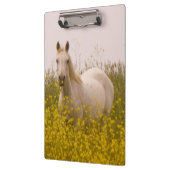 lente klembord (Links)