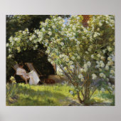 lente land tuin met witte rozen poster (Voorkant)