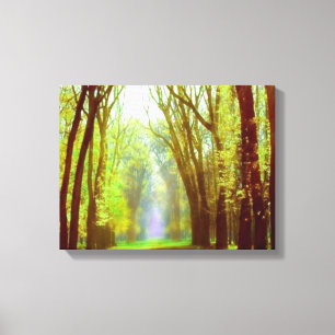 Lente Licht Canvas Print