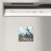 lente magneet (Insitu (Vaatwasser))