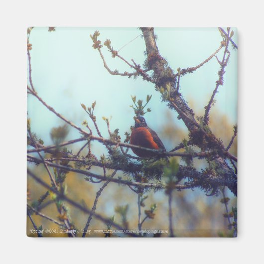 lente magneet (Voorkant)