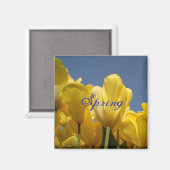 lente magneet (Voorkant / Achterkant)