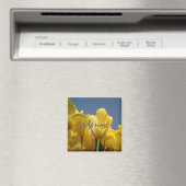 lente magneet (Insitu (Vaatwasser))